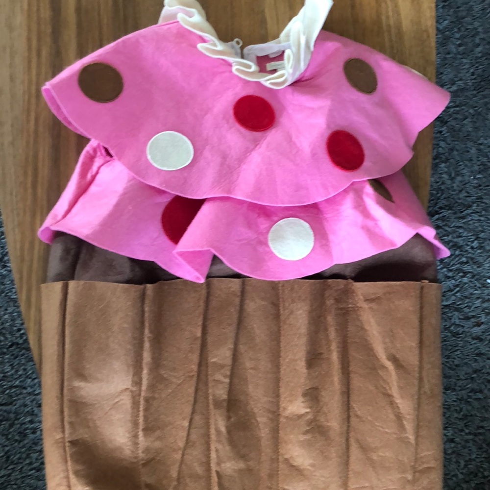 Pottery barn cupcake costume